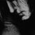 :iconmacartafujimiya:
