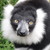 :iconmacaulay830: