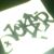 :iconmacca-r0ni: