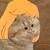 :iconmaccartney: