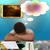 :iconmace786: