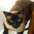 :iconmachinemassacre: