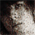 :iconmaciek14: