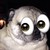 :iconmack0312: