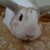 MackinTrioInk :iconmackintrioink: