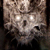 :iconmackykitty: