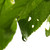 :iconmacro-visionary: