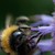 :iconmacrok8: