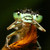 :iconmacropixels: