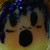 :iconmacs91: