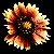 :iconmad--jack: