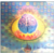 :iconmad-chemist04: