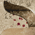 :iconmad-des: