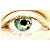 :iconmad-dog-maddox: