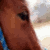 :iconmad-rider: