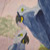 :iconmadaliceofstars13: