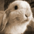 :iconmadamiron: