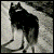 :iconmadblackstar: