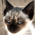 :iconmadboy: