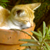 :iconmadcathouse: