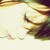 :iconmadderdin2: