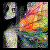 :iconmaddiiee-xx:
