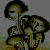:iconmadds: