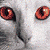 :iconmaddyandlycan: