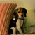 :iconmaddysphotography:
