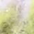 :iconMadEclaire: