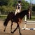 :iconmadeforthesaddle: