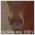 :iconmadeline-love: