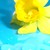 :iconmadelon2707: