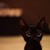 :iconmadelynhelen:
