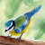 :iconmademoiselle-falki: