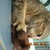 :iconmademoiselle-rhino:
