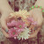 :iconmademoisellechouette: