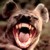 :iconmadhyenae: