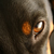 :iconmadison310: