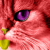 :iconmadmoomix: