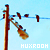 :iconmadmuxroom: