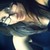 :iconmadoo-cherrii: