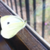 :iconmadpix:
