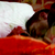 :iconmads3rv3r: