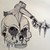 :iconmadskulls: