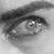 :iconmadsparrow: