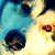 :iconmadvermin: