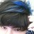 :iconmadviitor: