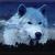 :iconmadwolfie: