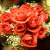 :iconmadz-nikki: